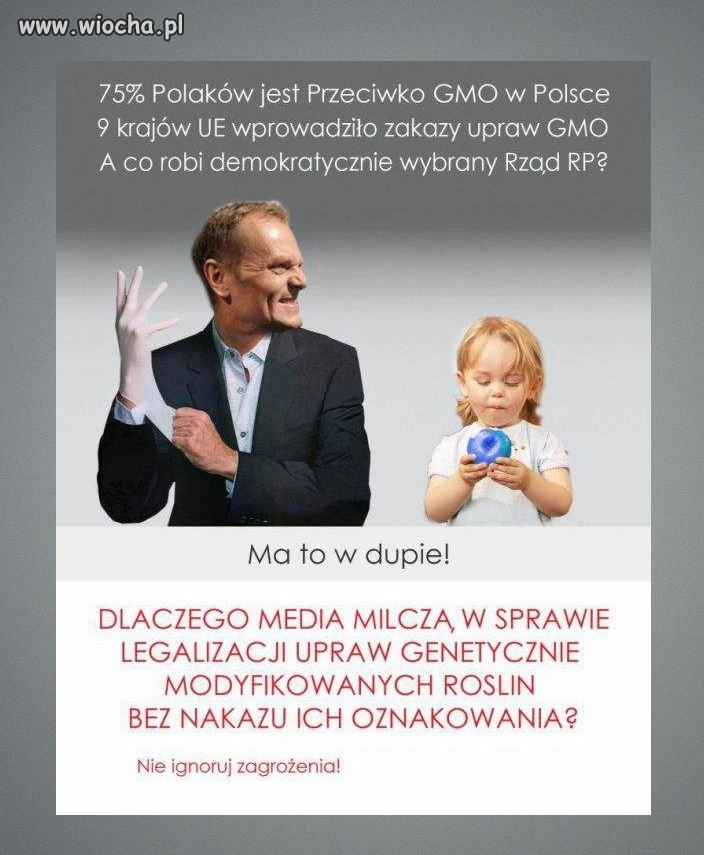 Co dalej w SPRAWIE GMO ?