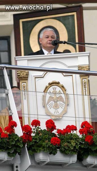 To nie może być przypadek
