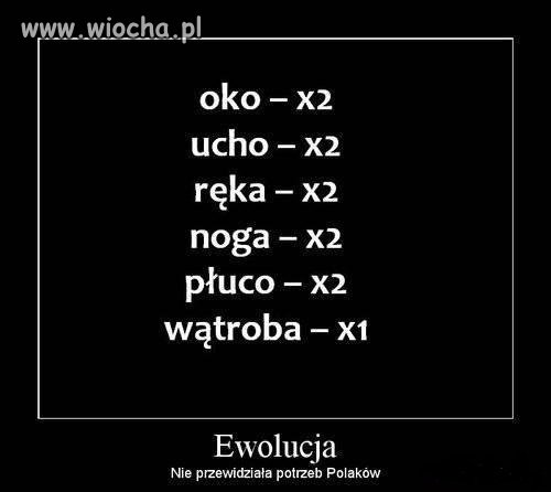 Ach ta Ewolucja 