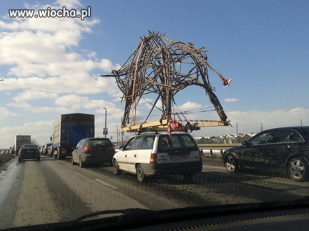 Polak naprawdę potrafi