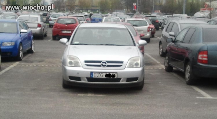 EZG na zakupach w Łodzi, ech...