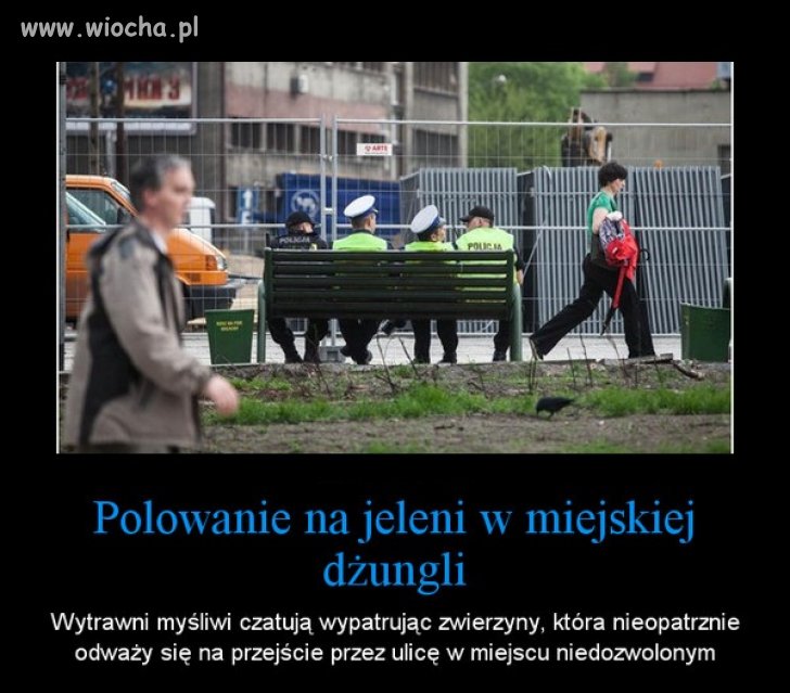 Ciężka praca policji