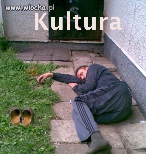 Kultura