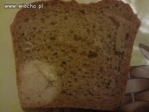 Tak się teraz robi chleb...