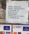 Tylko "kraść"