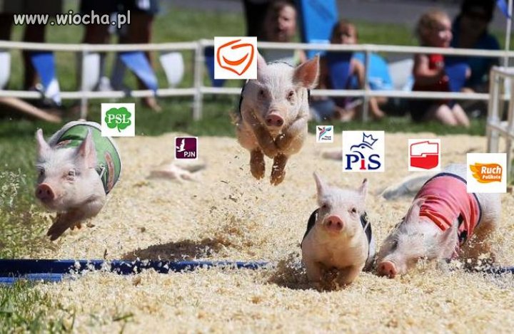 Wyścig