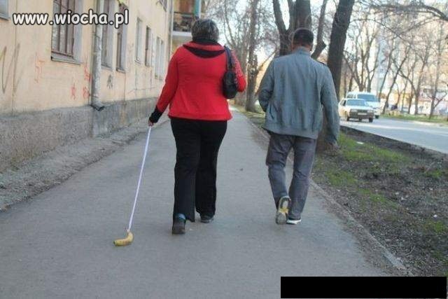 Każdy chce wyjść na spacer.