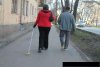 Każdy chce wyjść na spacer.