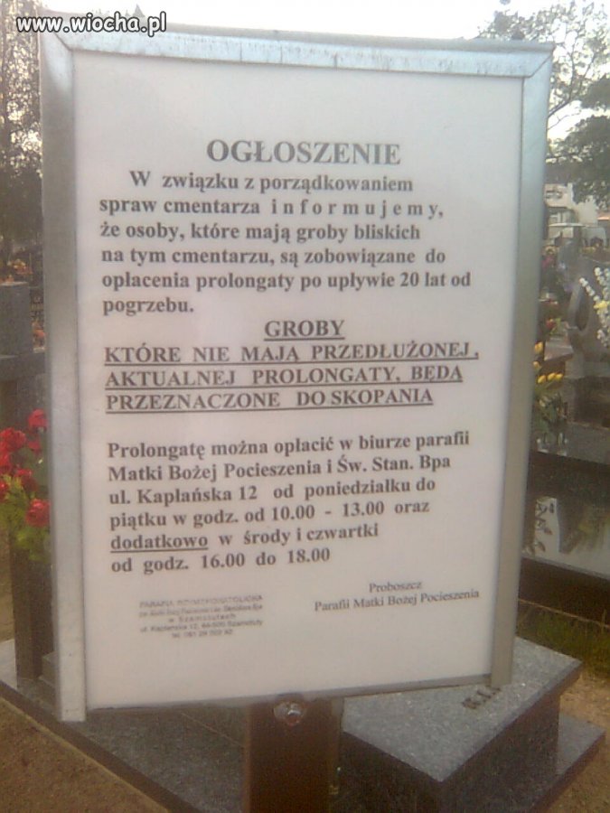 Najlepszy interes w Szamotułach 