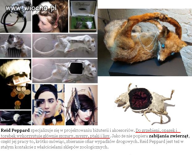 Nawet po śmierci zwierze nie ma spokoju