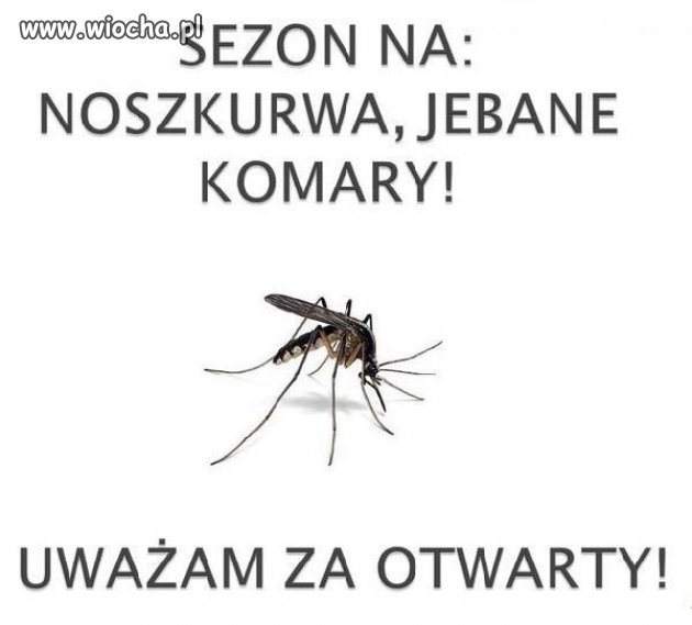 I znów się zaczyna Plaga Komara