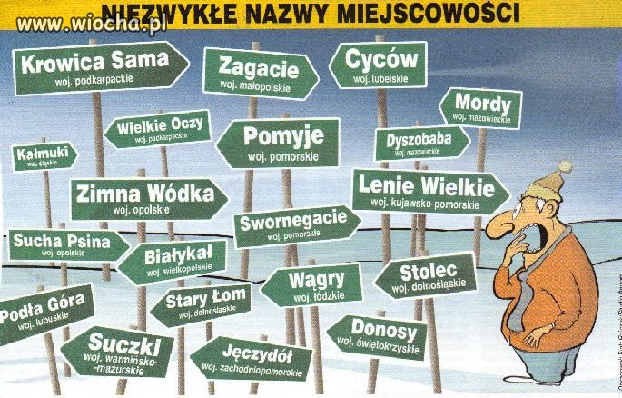 Coś dla poprawy humoru 