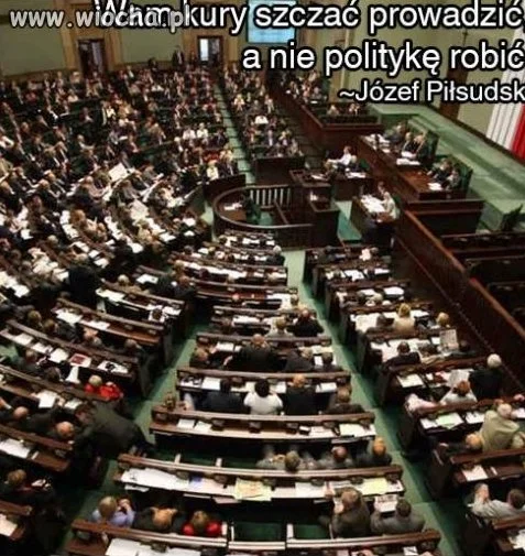 Polityka 