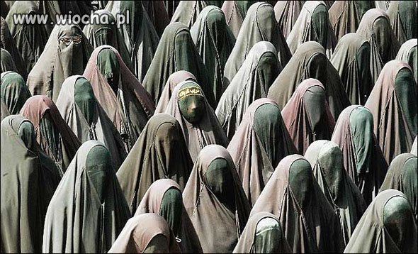  Czy Islam 