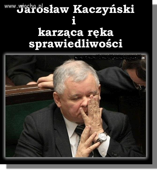Jaka partia taki facepalm 