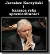 Jaka partia taki facepalm 