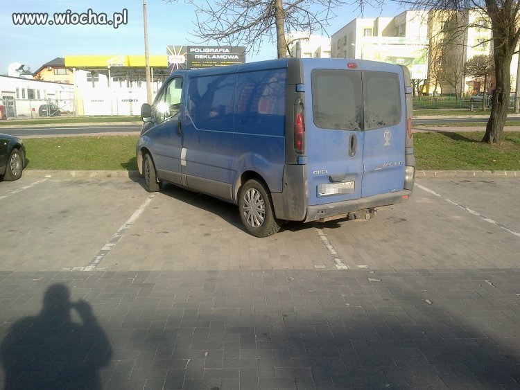 Miszcz parkowania