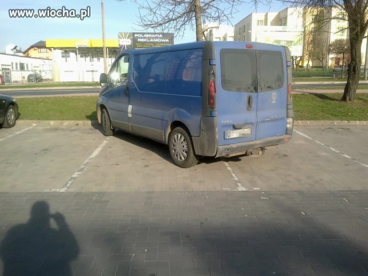 Miszcz parkowania