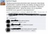Klub szalonych dziewic