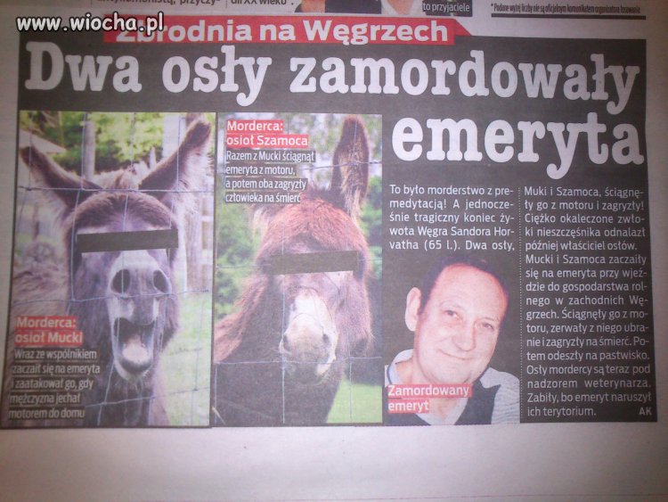 Czy "Faktowi" udało się osiągnąć szczyt absurdu?
