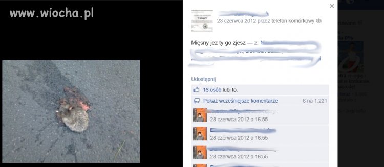 "mięsny jeż"