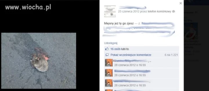 "mięsny jeż"
