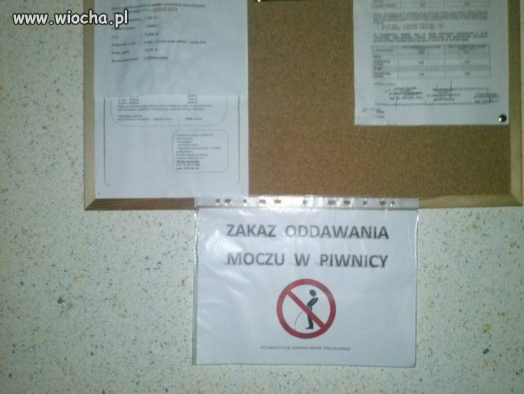 Sąsiedzi...