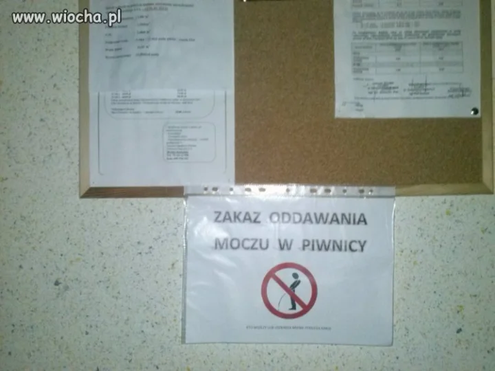 Sąsiedzi...