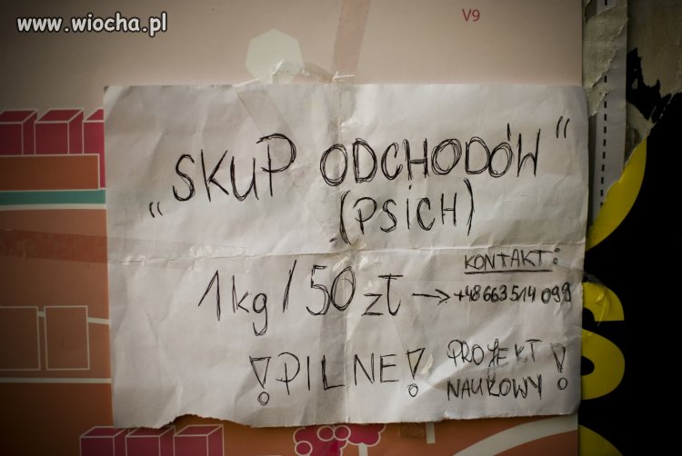Projekt naukowy