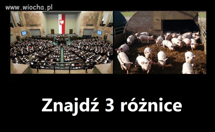 Znajdź różnice