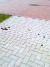 Ludzie sprzątajcie po swojej kupie !! Wiocha!!