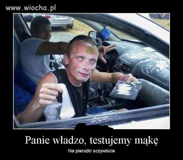 Panie Władzo