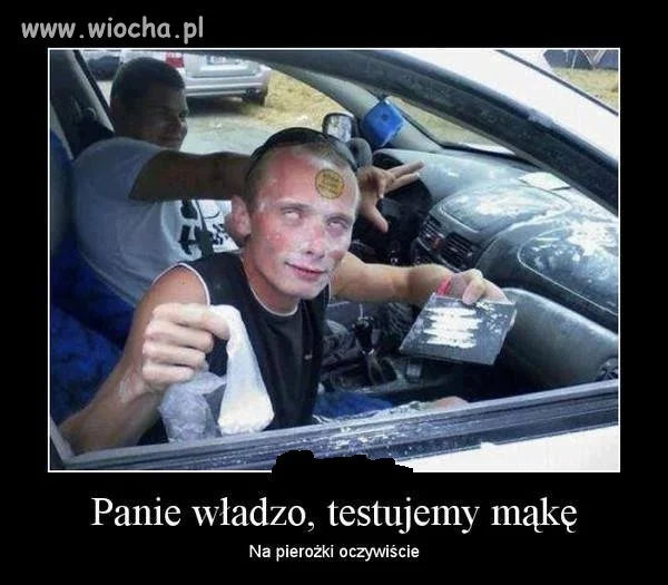 Panie Władzo
