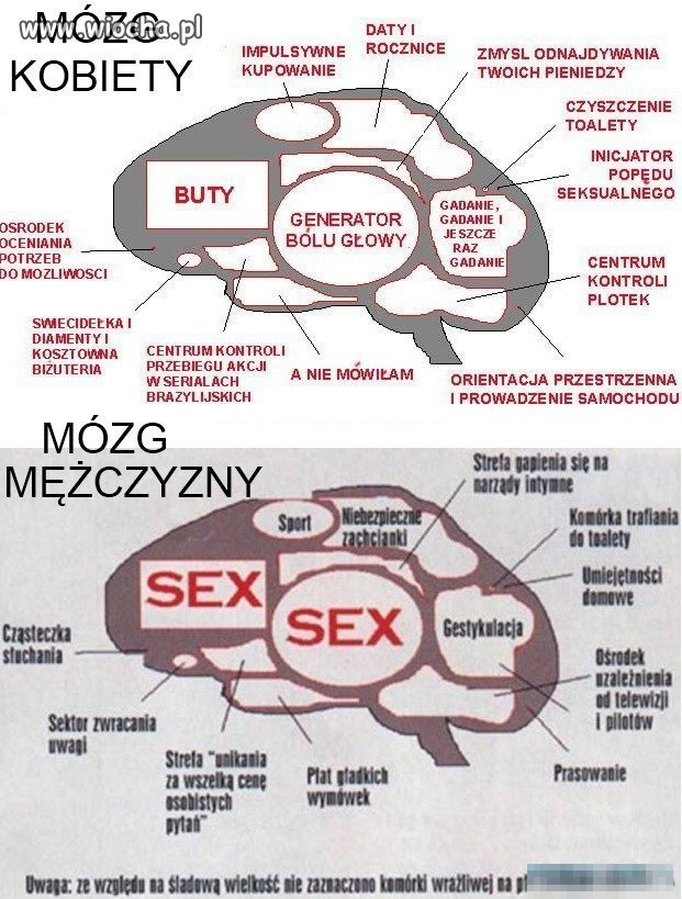 Rozwaliło mnie to 