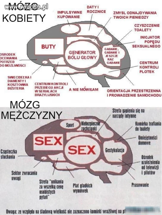 Rozwaliło mnie to 