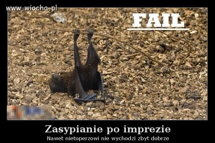 Zasypianie po imprezie 