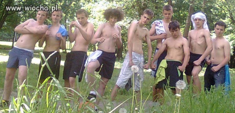 Polska gimbaza