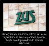 Największy gatunek pijawki
