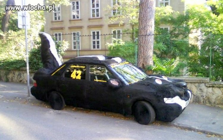 Auto lans na skunksa :)