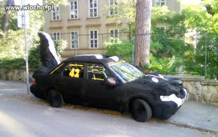 Auto lans na skunksa :)