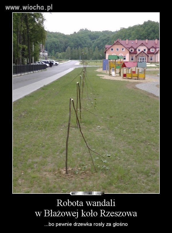 Można połamać, a co...