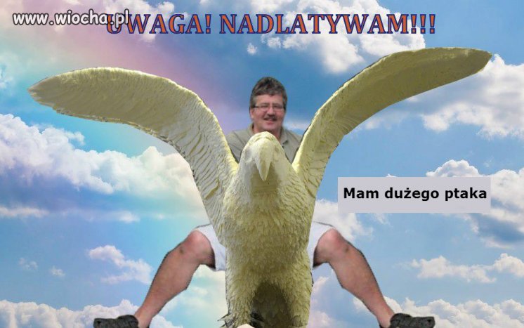 Mam dużego ptaka