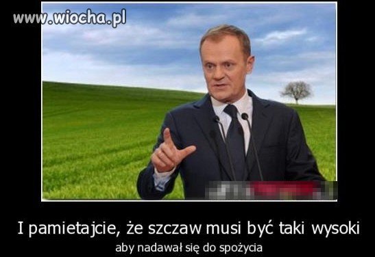 Powinien zrezygnować pajac
