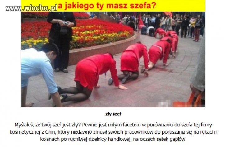 A jakiego ty masz szefa?...