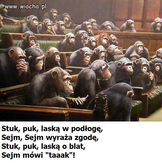 Tak wygląda w rzeczywistości sejm Rzeczypospolitej