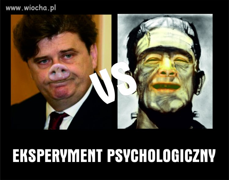 Eksperyment na bycie motłochem i kołtunem