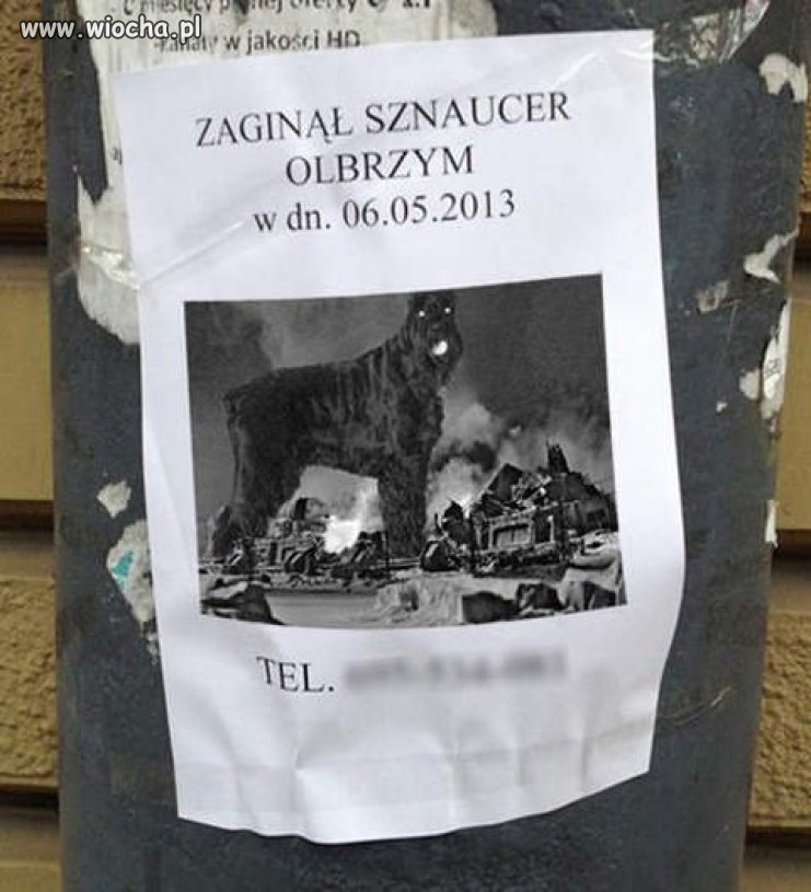 Olbrzym to olbrzym 