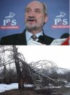 Będzie nowe śledztwo! Kto i kiedy, POSADZIŁ BRZOZE !