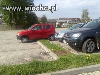 Mistrz parkowania