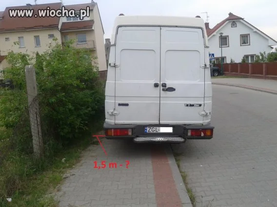 Mistrz parkowania